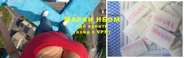 PSILOCYBIN Майский