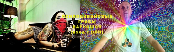 PSILOCYBIN Майский