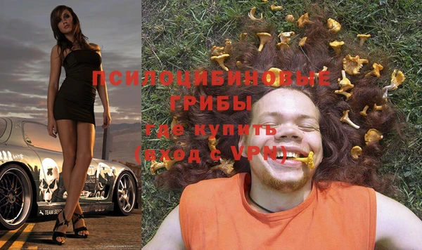 PSILOCYBIN Майский