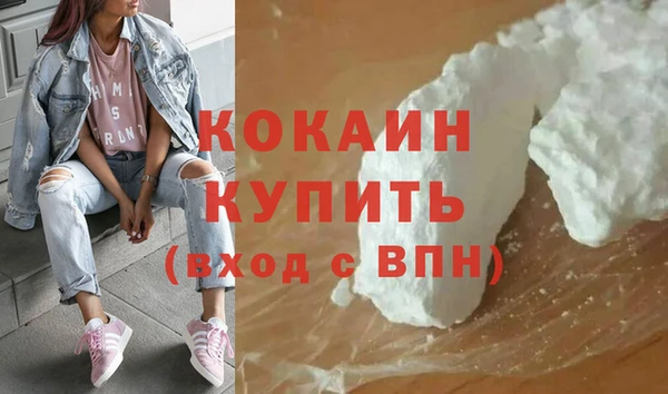 PSILOCYBIN Майский