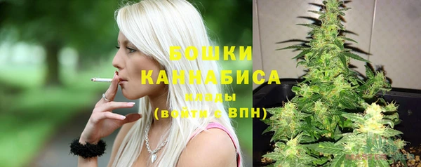 PSILOCYBIN Майский