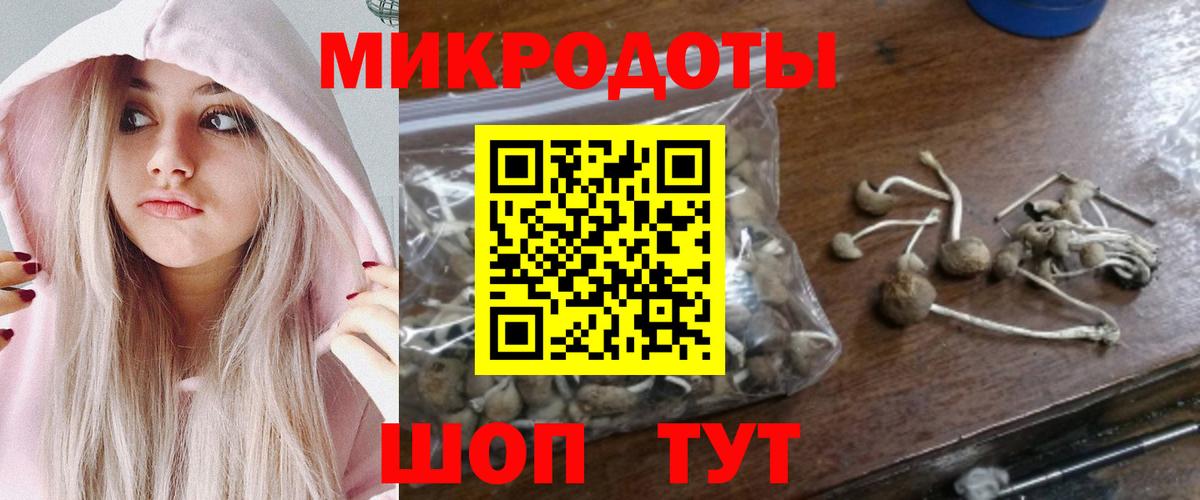 Псилоцибиновые грибы Cubensis Ступино